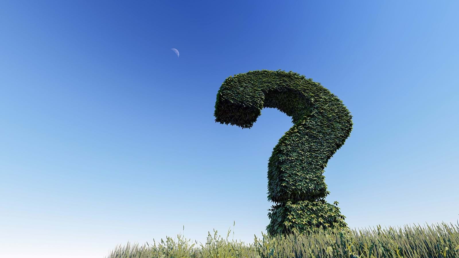Question Mark 3255118 Question Mark 3255118